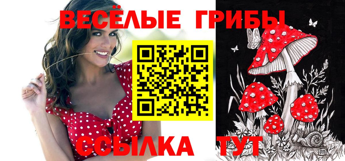 Псилоцибиновые грибы ЛСД Владивосток